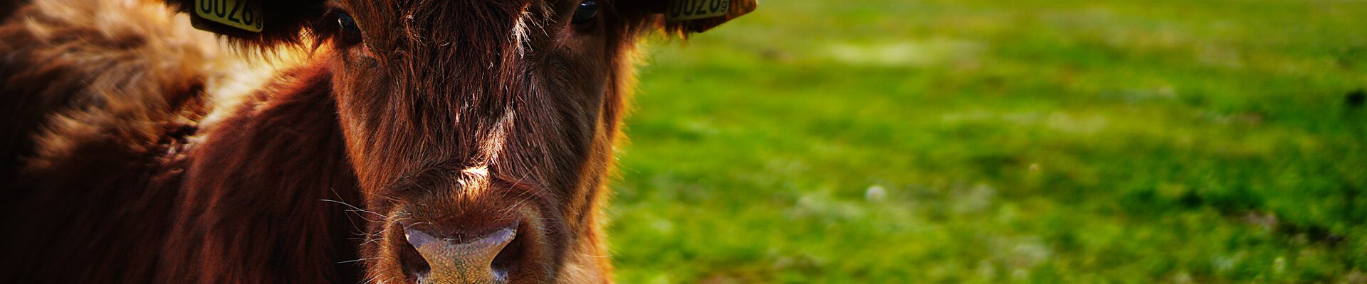 Liste des exploitants agricoles dans le 89 à Hauterive commune de l'Yonne